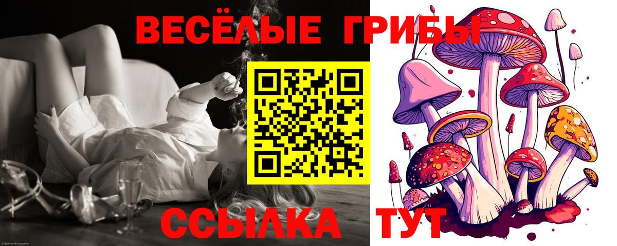 Волгодонск  Псилоцибиновые грибы ЛСД  Вход с VPN 